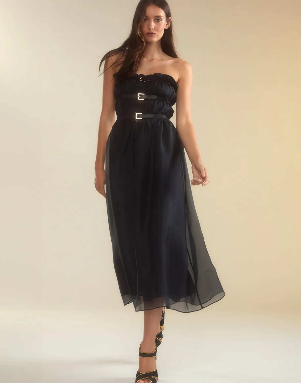Buckle Up Silk Organza Dress