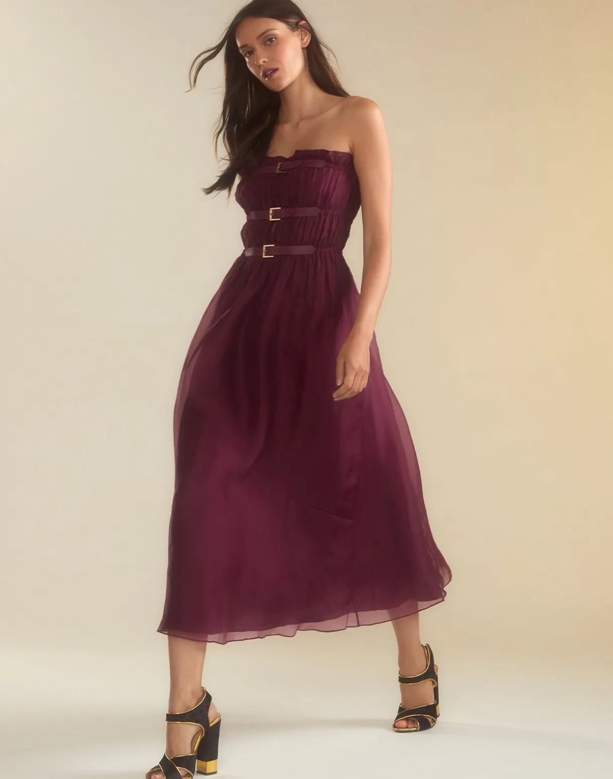 Buckle Up Silk Organza Dress