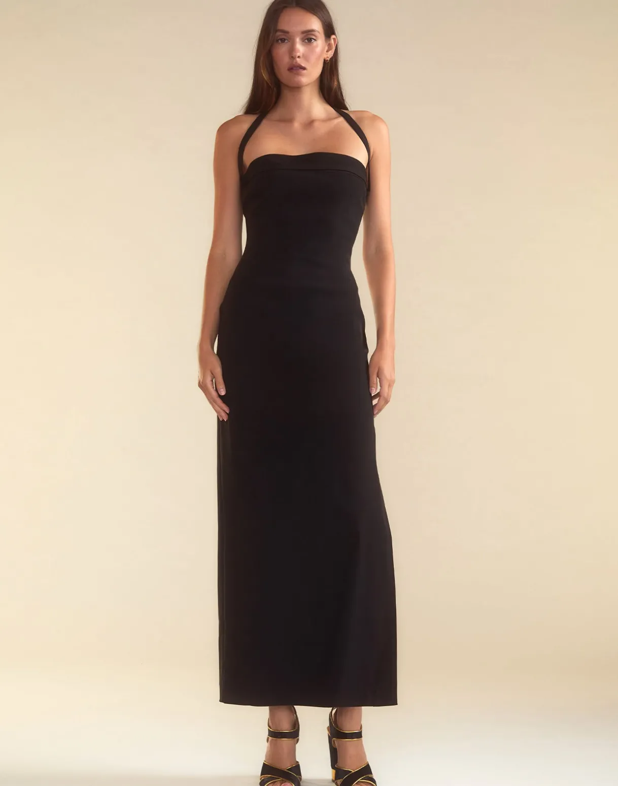 Formal Fitting Dress