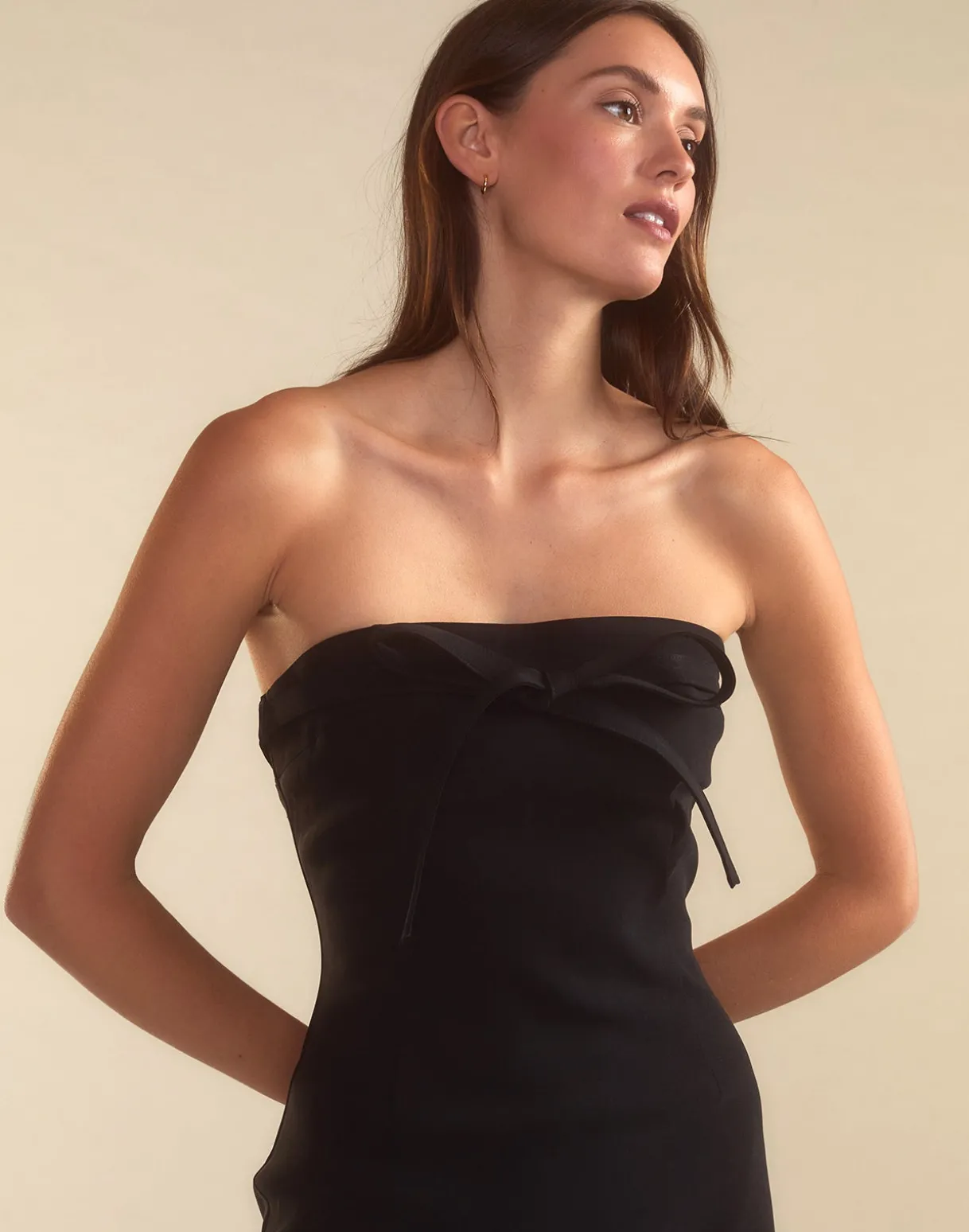 Formal Fitting Dress
