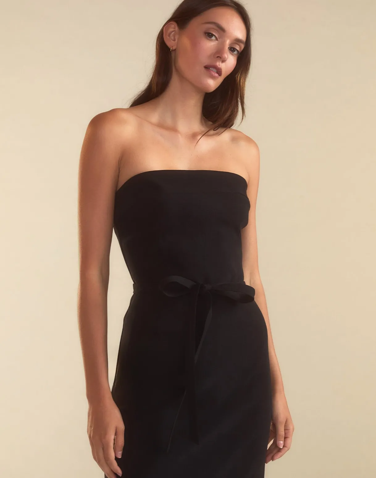 Formal Fitting Dress
