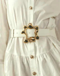 Hidden Gem Belt